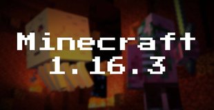 Майнкарфт 1.16.3